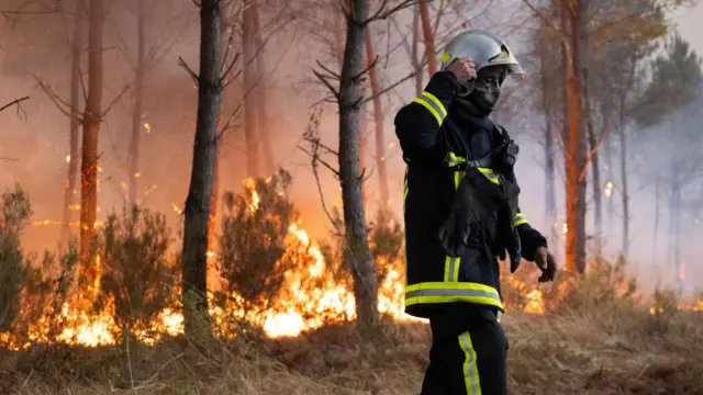 A firefighter walks in front of a forest, with flames on the ground and smoke in the air