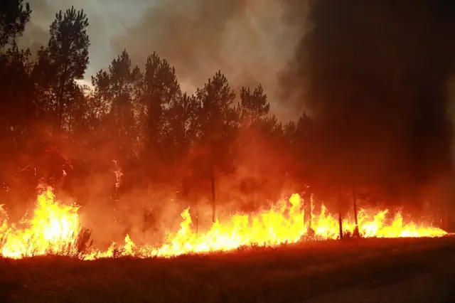 A wildfire burning in a forest near Saint-Jean-d'Illac in south-western France