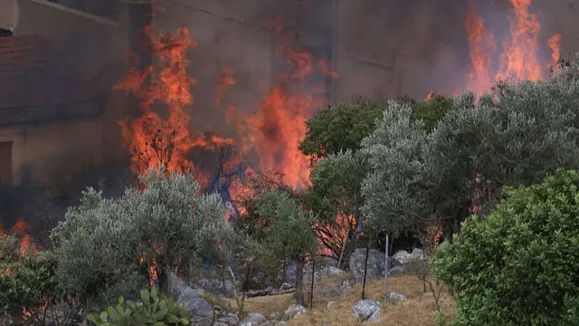 Firefighters tackle a blaze near Torretta, outside Palermo on the island of Sicily