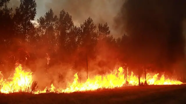 A wildfire burning in a forest near Saint-Jean-d'Illac in south-western France