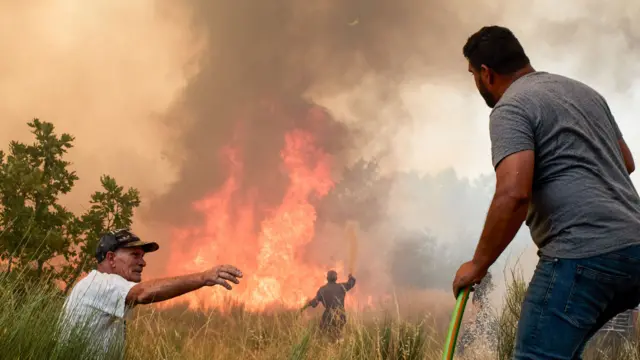 Men with hoses fight large orange flames in a field of long grass