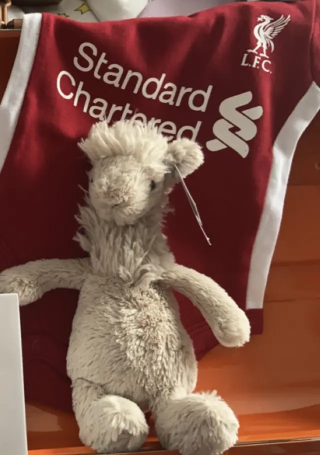 A cream animal teddy is posed in front of an baby-sized Liverpool Football Club shirt