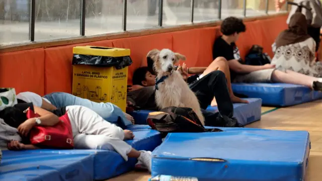 A dog sits on a matress alongside evacuated residents in Spain. Several people can be seen sleeping while one boy is on his phone