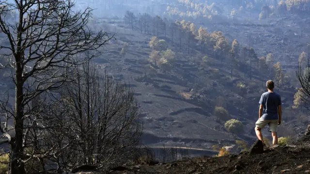 A man overlooks a charred landscape