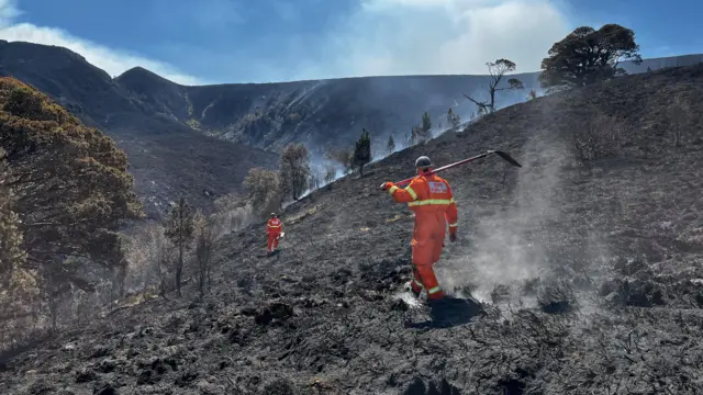 Wildfire in the Cairngorms National Park, July 2026.
