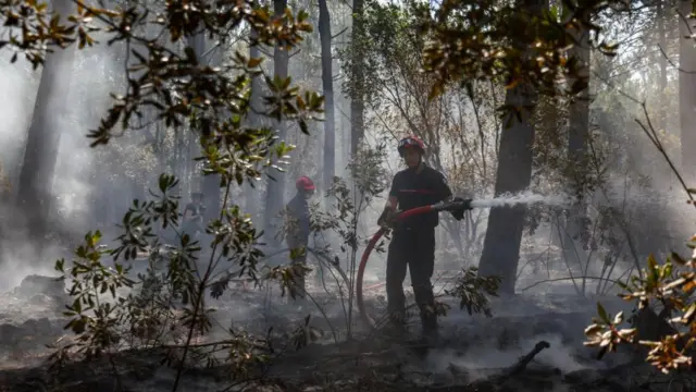 Firefighters work to put out flames at Le Grand Crohot, a coastal area west of Bordeaux