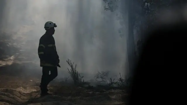 A firefighter's silhouette can be seen next to rising smoke. A dark tree and burnt vegetation can be seen nearby