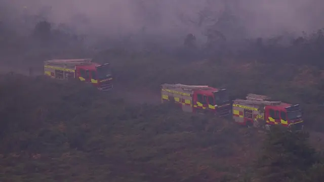A drone view of three red and yellow fire engines on a single lane road, with bushes either side.