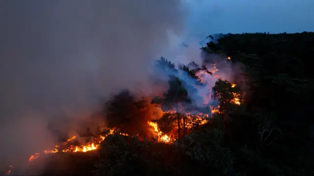 A bird's eye view of flames burning through the trees.