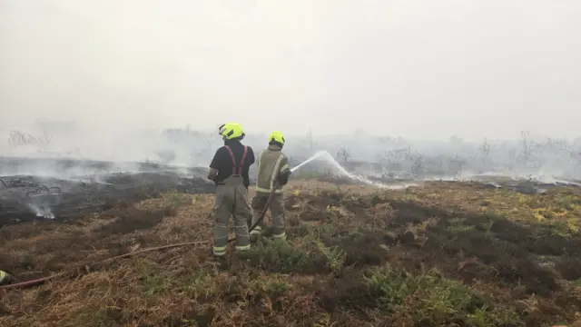 Two firefighters use water hoses to dampen down heathland that has been on fire.