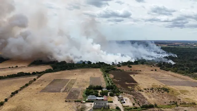 A bird's eye view of white smoke billowing from green trees, with dry brown fields in the foreground.