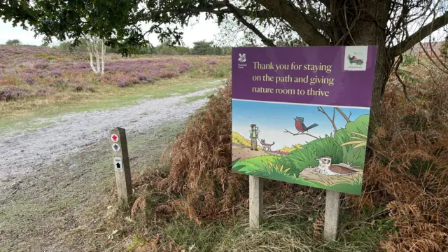 A green and purple visitor entrance sign into a wildlife reserve and heathland.
