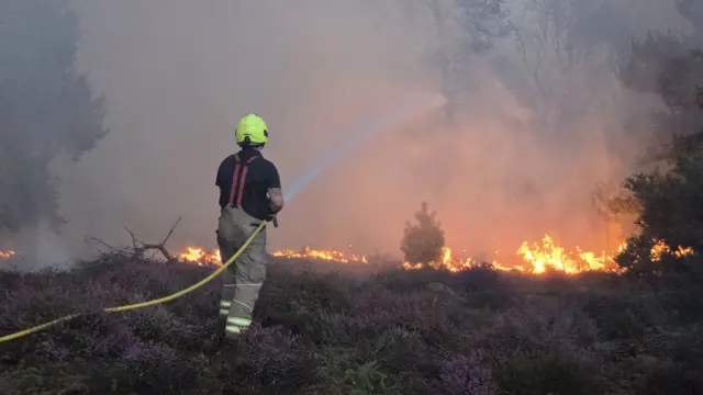 A firefighter with a hose trying to dampen a large heathland fire