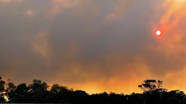 Smoke fills the evening sky with trees in the background