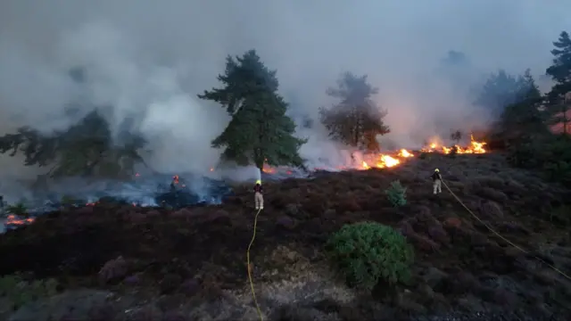 A view from above of two firefighters, in black and brown uniform, aiming hoses at the flames which spread on heathland. White smoke billows into the air.