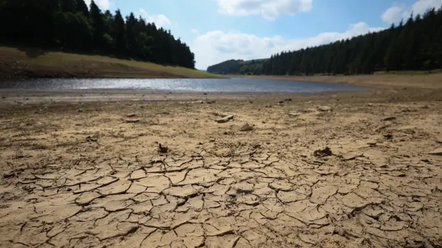 Image showing a dry, cracked river bed, with a small amount of water and trees in the background