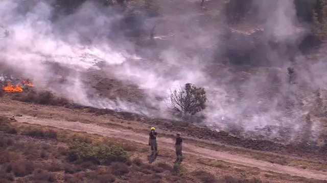 firefighters