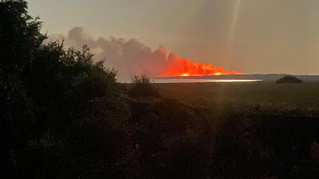 Orange flames burn under a large plume of smoke in the distance.