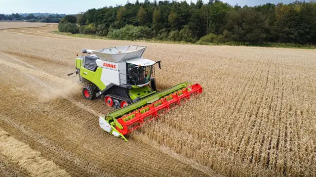A large combine harvester harvesting crops in a wheat field. The combine is green and red, and there are green trees in the background