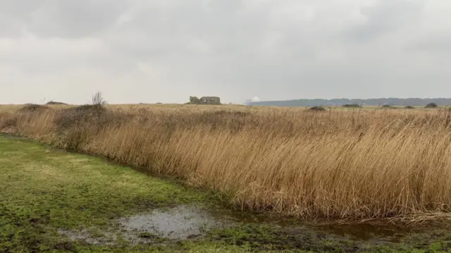 In the foreground is soggy grass with puddles, and then long brown grass. Some stone ruins are in the background, and the white dome of a power plant in the distance