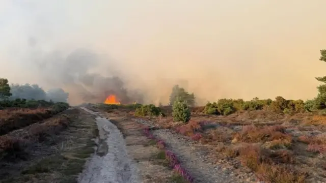 A fire can be seen on the horizon of an area of vegetation
