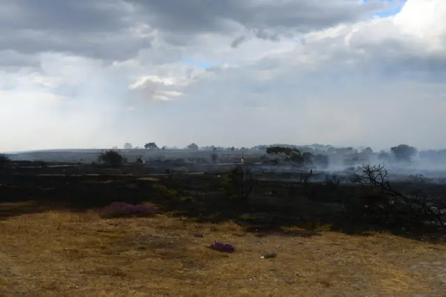 Blackened, scorched earth on Dunwich Heath. There are charred remains of trees too.