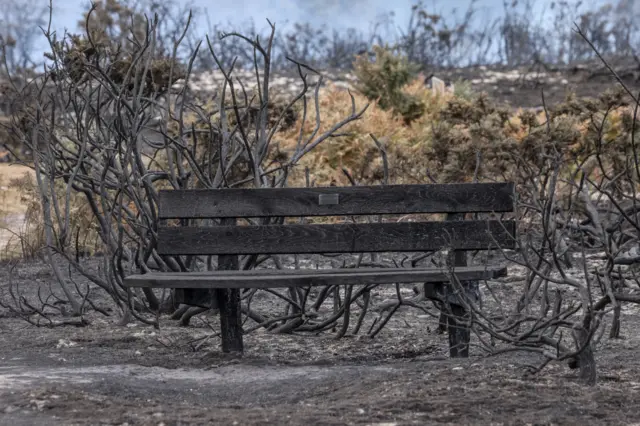 A blackened bench at Dunwich Heath. It is surrounded by blackened grass and burnt out shrubs.