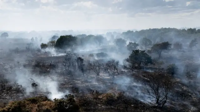 An aerial shot of smoke rising from a blackened landscape with burnt out trees mixing with trees still in leaf