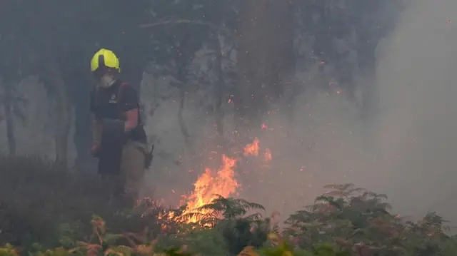 A firefighter tackles a blaze that has sparked up in the vegetation.