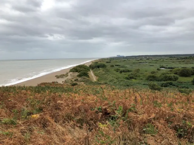 Lush green vegetation stretches right to a sandy beach from the perspective at the top of a hill.