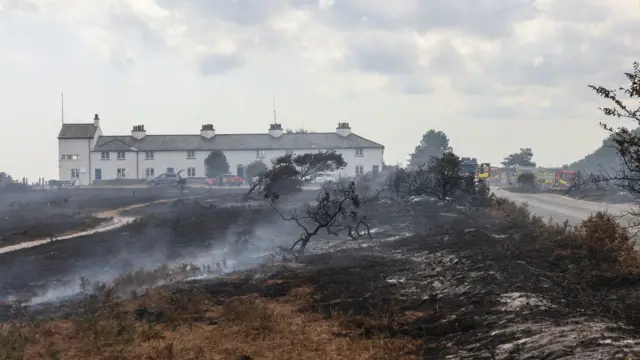 The scene of a wildfire near to white cottages. The ground has been burnt and blackened during the fire. Smoke billows into the air. Some fire engines can be seen in the distance close to the cottages which have not been touched by the fire.
