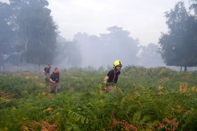 Firefighters work to tackle a wildfire at Dunwich Heath. They are walking through an area of dense vegetation.