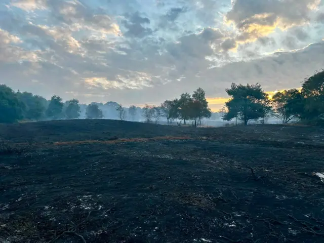 Blackened earth and smoke hanging in the air. There are trees in the background