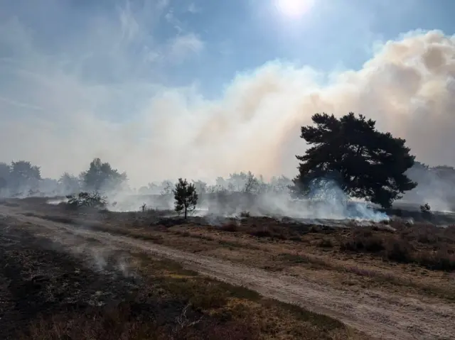 A scorched field with smoke billowing from it.