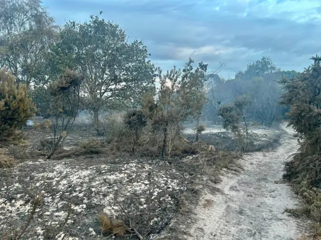 A grey ashy path is visible with damaged ground and smoke hanging in the air.