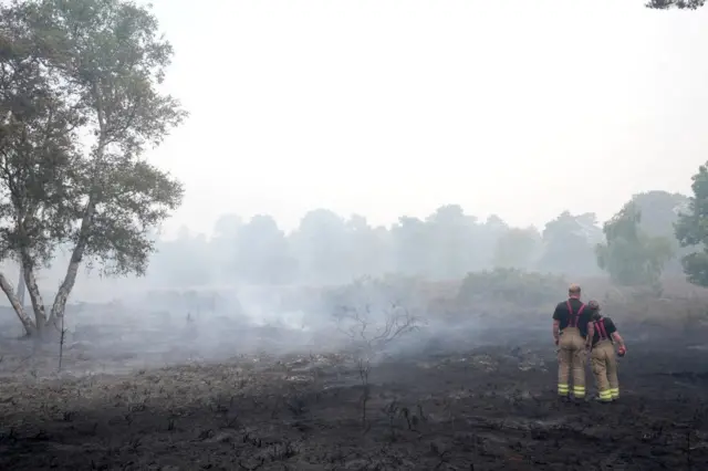 Two firefighters assess an area of smouldering, scorched earth. A few trees remain.