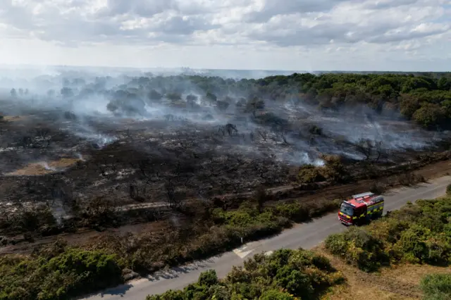 From above looking down, a red and yellow fire engine on a grey tarmacked road. Black scorched earth and white smoke rising from it fills the picture. There are some green bushes and trees untouched by flames.