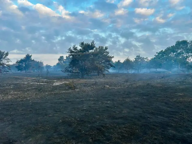 Heathland that has been destroyed and burnt during a wildfire. Smoke billows from the ground. There are some trees that have survived dotted about the field.