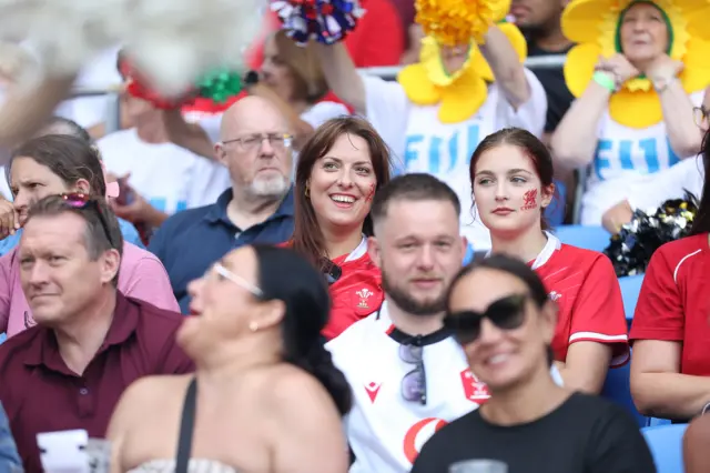 Wales fans