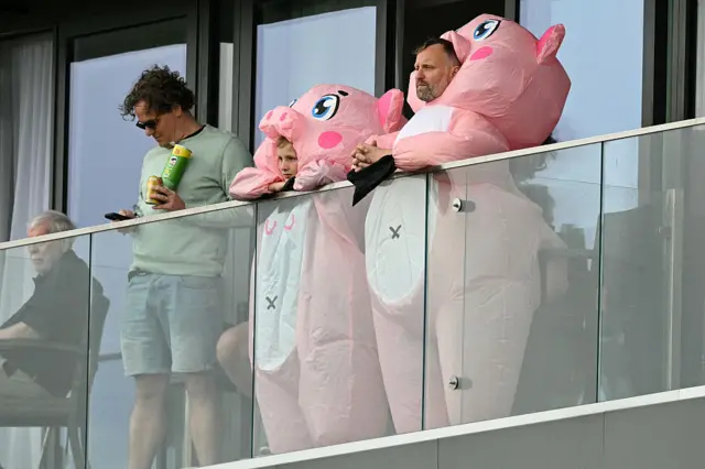 Pigs on a balcony