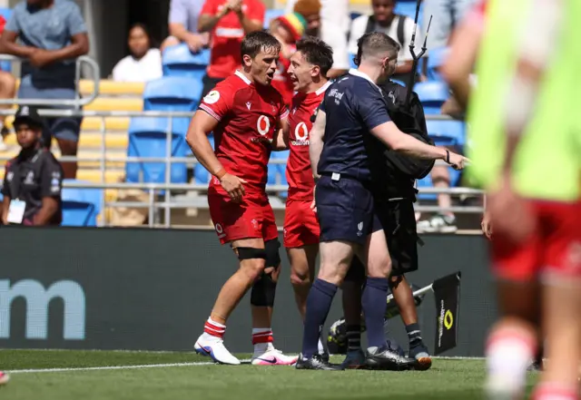 Josh Adams celebrates his Wales try