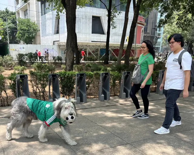 Dog in Mexico shirt pre-match