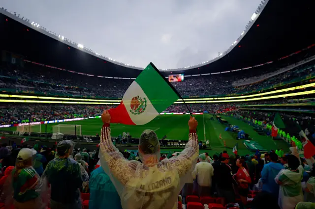 A fan of Mexico waving his country's flag