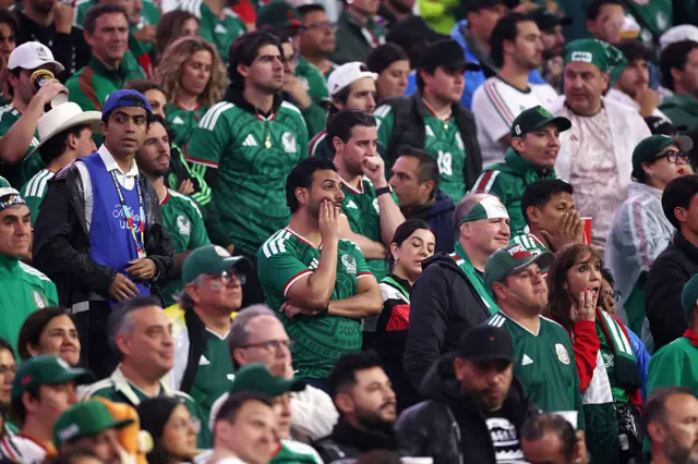 Mexico fans