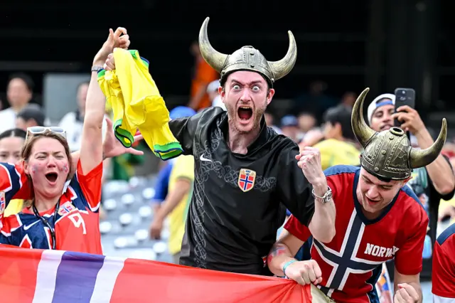 Norway fan