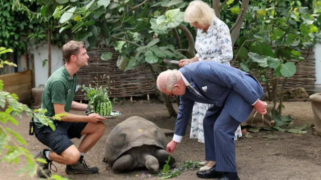 King Charles touching a tortoise, with Queen Camilla behind him watching and a Zoo worker next to him.