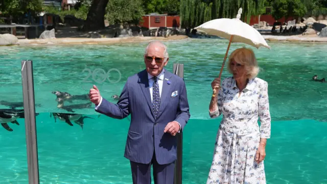 King Charles on the left wearing a striped suit and sunglasses, with Queen Camilla holding a pale umbrella to protect from the sun. Behind them is blue water. Penguins swim behind the pair.