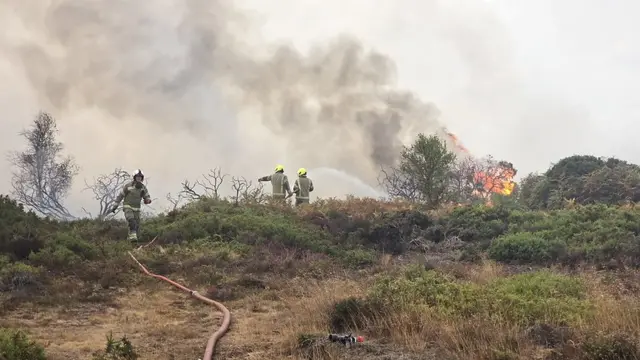 firefighters