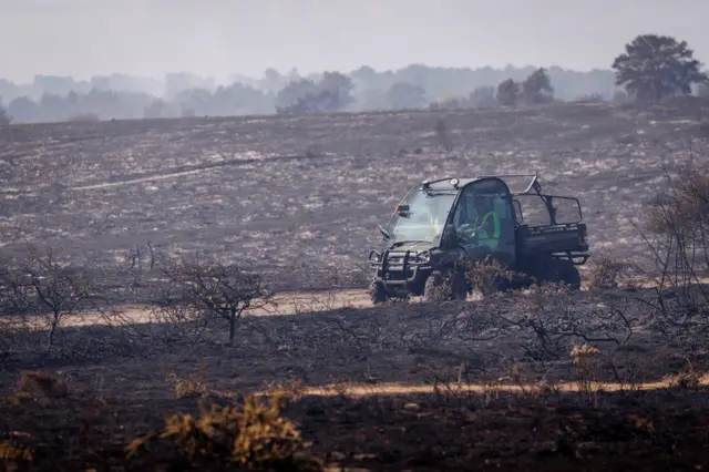 A blackened landscape with the remains of shrubs, slightly blurred out with smoke.