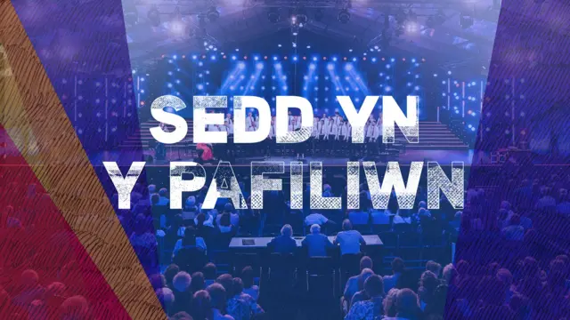 Sedd yn y Pafiliwn